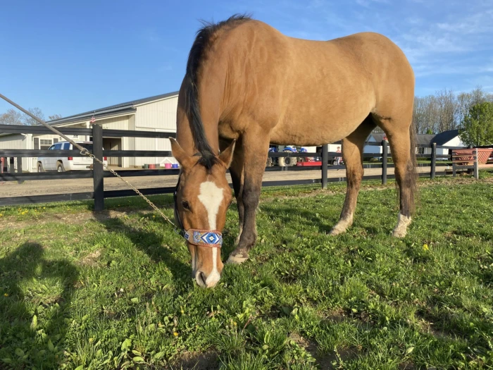 Farm Supply Serving Wayne County, OH